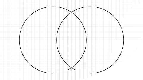 Double Venn Diagram Video stock 255159699
