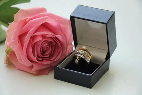 Double wedding set in box Stock Photos