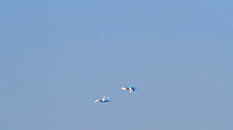 Doubles flight fighters Stock Footage 33608497