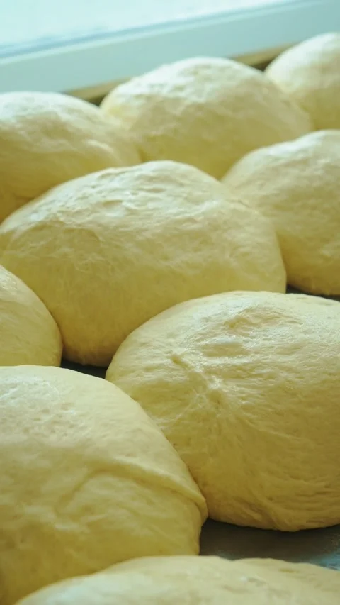 Dough balls are arranged on a tray in a kitchen. They are in the process of Stock Footage 345206093