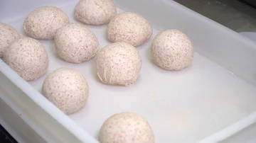 Dough balls inside bin  Stock Footage 85904179