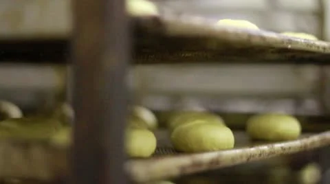 Dough balls tray tilt down Stock Footage 9465166