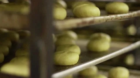 Dough balls on trays Stock Footage 9468502