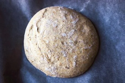 Dough bread is laid on the baking sheet Stock Photos