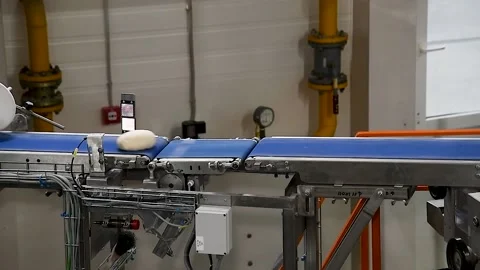 Dough for bread production in a bakery on an automated conveyor belt. Bread p 库存影片 195954090