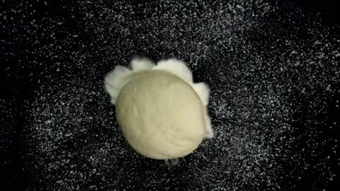Dough Falling on Flour in Slow Motion Stock Footage 314894178
