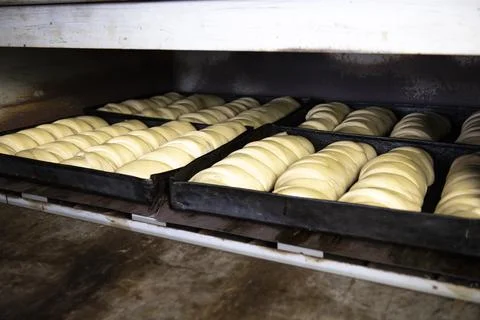The dough laid for the bread is suitable and ready for baking. Stock Photos