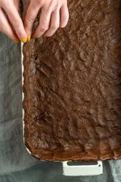 Dough for pumpkin pie in the form for baking Foto stock