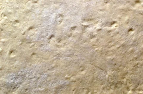 Dough sheet Stock Photos