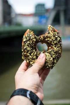 Doughnut on the Danube Foto stock