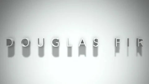Douglas Fir 3D title animation with shadows on a white background Stock Footage 296541741