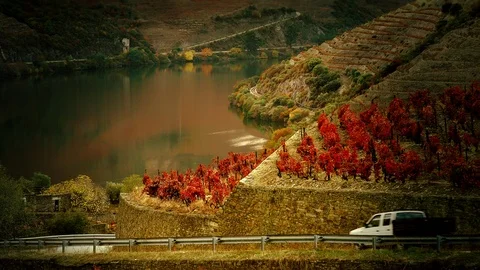 Douro Landscape Series Stock Footage 121327787