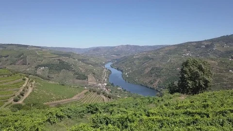 Douro River Aerial Landscape 3 Stock Footage 80455042