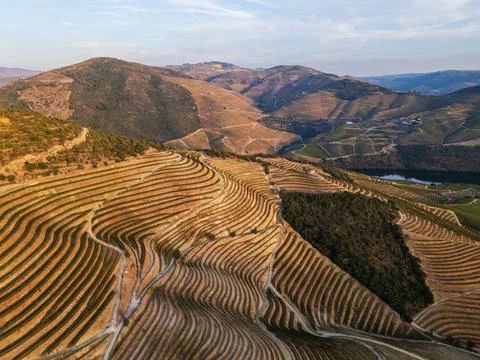 Douro River bend with vineyard terraces in Douro Valley Portugal Stock Photos