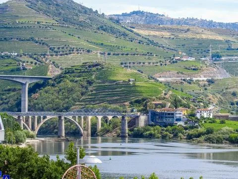 Douro River landscape. Stock Photos