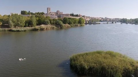 The Douro River passes through the city of Zamora Video stock 115587870