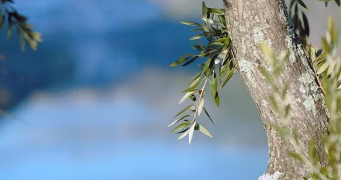 Douro River Series 動画素材 112747171