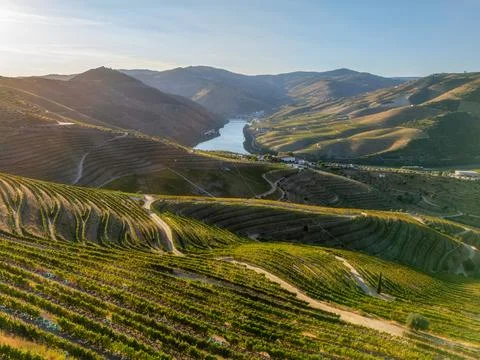 Douro River sunset over vineyard terraces in Douro Valley Stock Photos