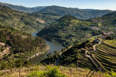 Douro River Valley Stock Photos