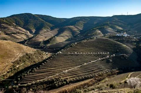 Douro River Valley Stock Photos