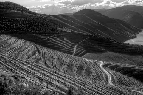 Douro River Valley Stock Photos
