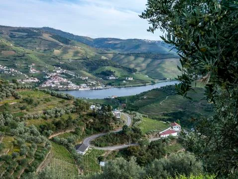 Douro River Valley Stock Photos