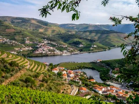 Douro River Valley Stock Photos