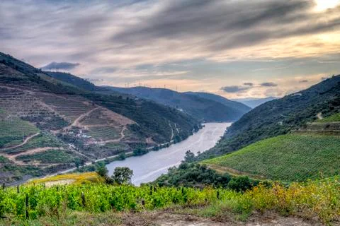 Douro River Valley Stock Photos