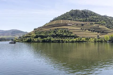 Douro river winding through terraced vineyards Foto stock
