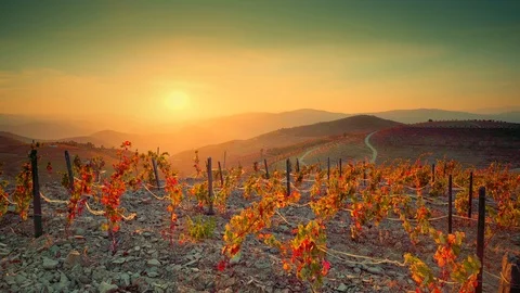 Douro Sunset Landscape Series Stock Footage 121327792