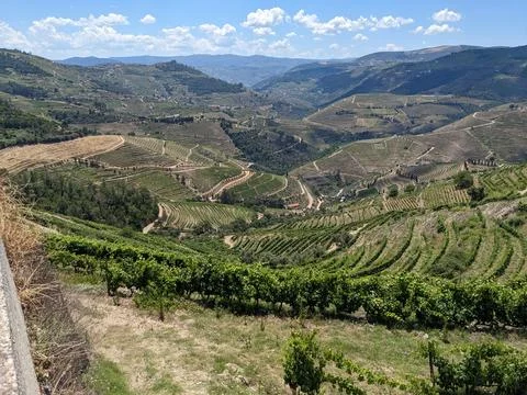 Douro Valley from the Road Stock Photos