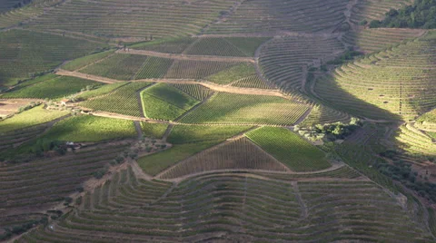 Douro valley vineyards Video stock 34333486