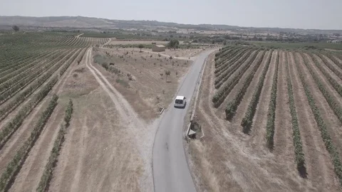Douro, White Car  Video stock 78971422