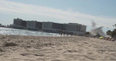 Dove on beach Stock Footage 145458400