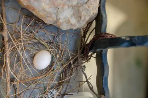 Dove egg in Window Stock Photos