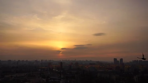 Dove flies close to camera with Kiev cityscape and dramatic sunset with Stock Footage 127216747