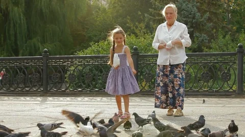 Dove Flock Video stock 51766490