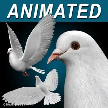 Dove ( Flying ) 3D Model