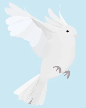 Dove flying Stock Illustration