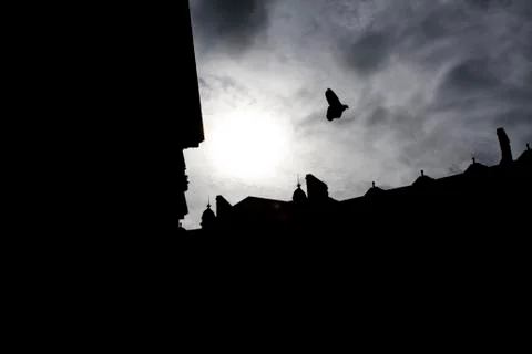 Dove flying Foto stock