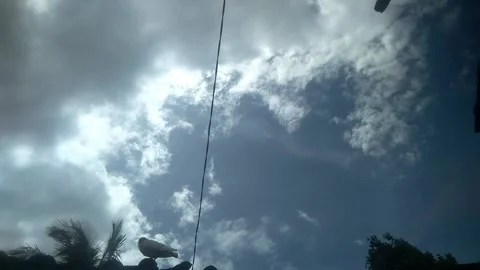 The dove Stock Footage 169331749