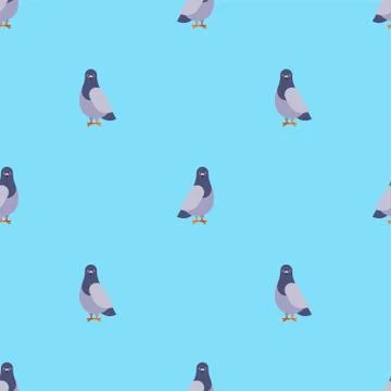 Dove grey pattern seamless. pigeon background. City bird vector texture 스톡 일러스트