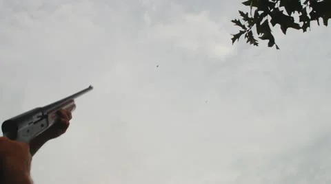 Dove Hunting Hunter Stock Footage 11904471