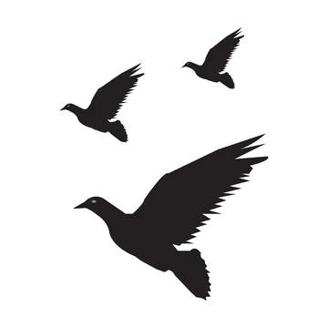 Dove icon 库存插图