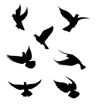 Dove Illustrazione stock