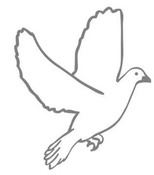 Dove Stock Illustration