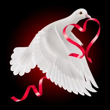 Dove Stock Illustration