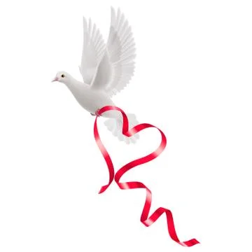 Dove Stock Illustration
