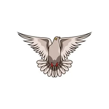 DOVE Stock Illustration