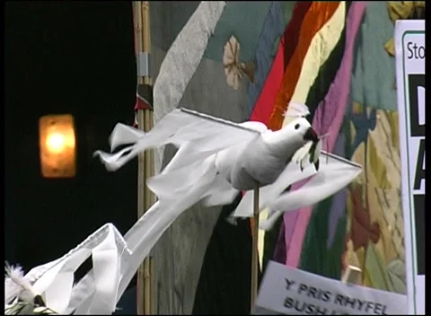 Dove of Peace at Anti-War Protest London  15th Feb 2003 Stock Footage 238085553